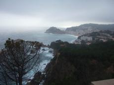 dscf3935.JPG